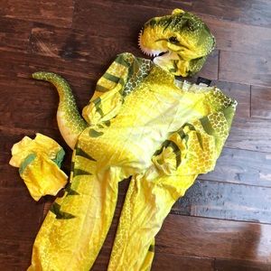T-Rex Dinosaur costume 4-6yrs